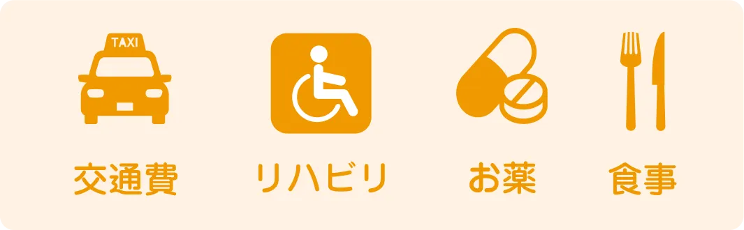 交通費、リハビリ、お薬、食事