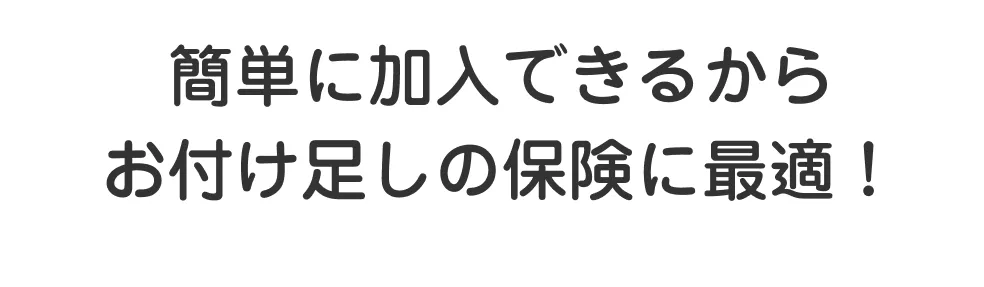 簡単に加入できるからお付け足しの保険に最適！
